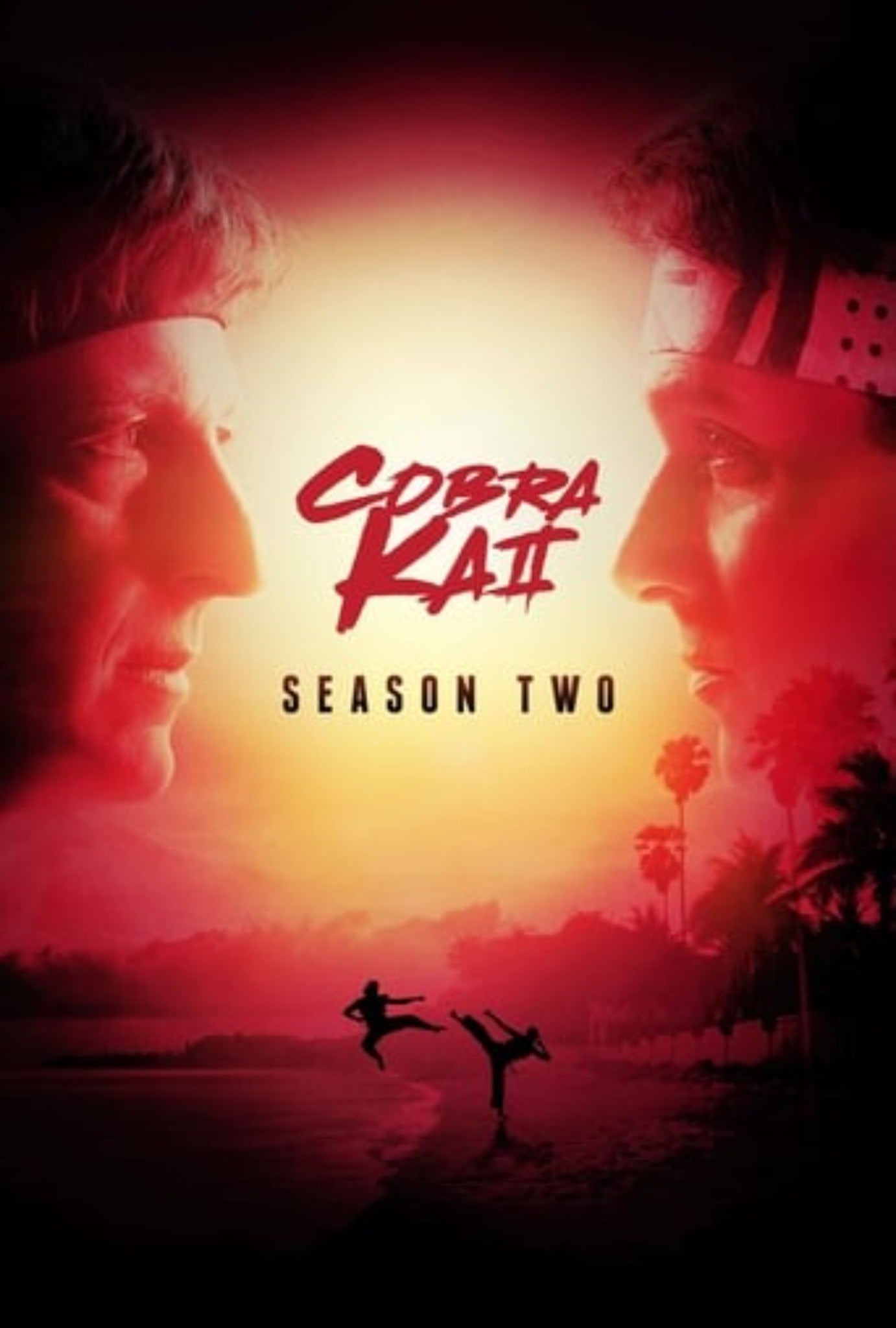 Cobra Kai Season 2 Complete Pack 2019 Action - Adventure - Drama - Comedy