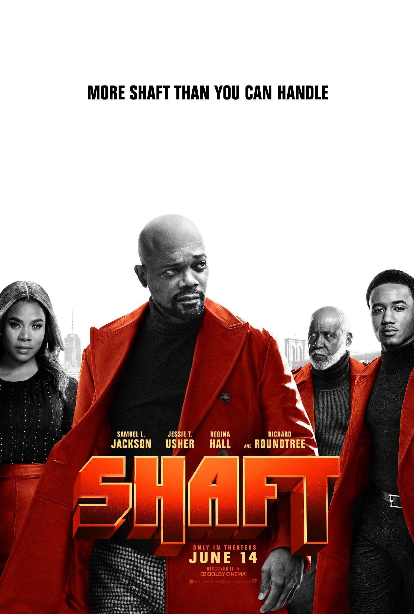 Shaft 2019 ‧ Action/Comedy ‧ 1h 52m