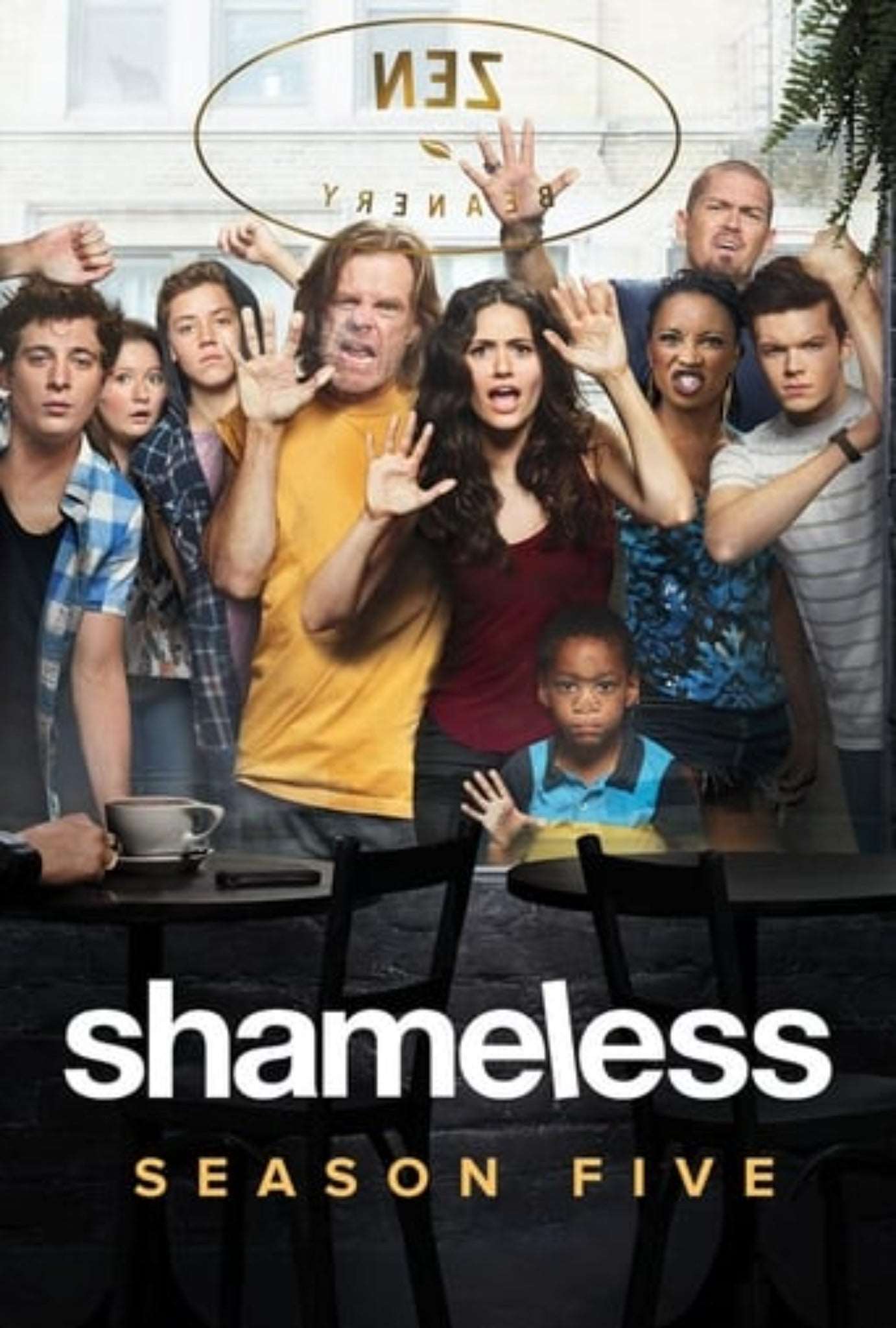 Shameless Season 5 Complete Pack 2015 Drama - Comedy - Kitchen World Supplies