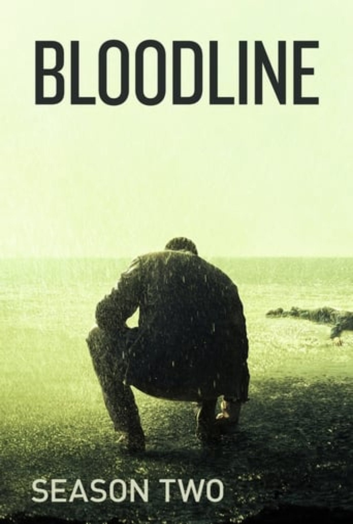 Bloodline Season 2 Complete Pack 2016 Episode 19 To 23